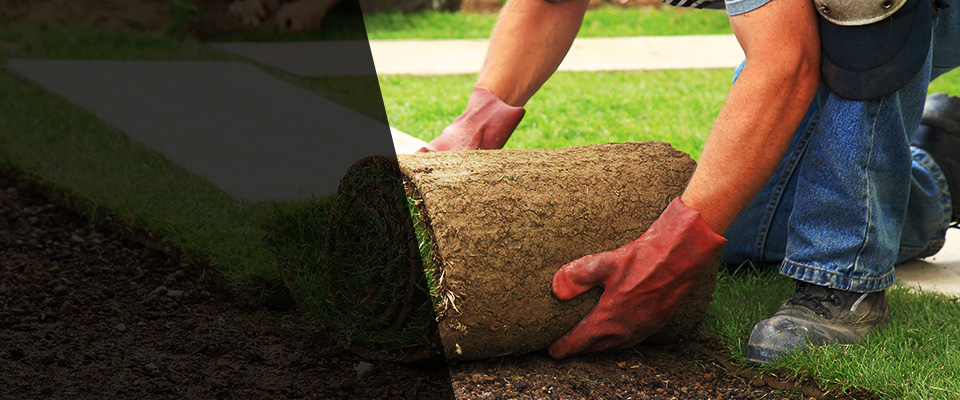 Oneonta Landscapers